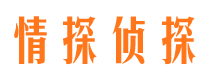 积石山寻人公司